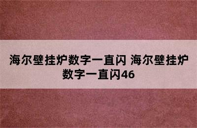 海尔壁挂炉数字一直闪 海尔壁挂炉数字一直闪46